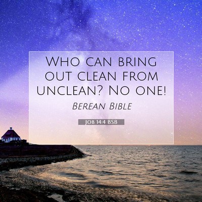 Picture 07 - Job 14:4 BSB - Who can bring out clean from unclean? No - Bible Verse Picture