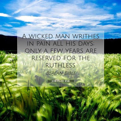 Picture 07 - Job 15:20 BSB - A wicked man writhes in pain all his days; only a - Bible Verse Picture