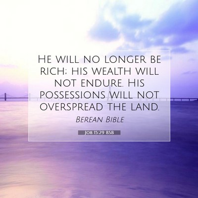 Picture 07 - Job 15:29 BSB - He will no longer be rich; his wealth will not - Bible Verse Picture
