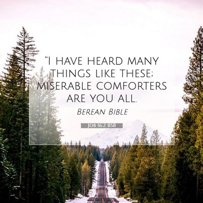 Picture 07 - Job 16:2 BSB - “I have heard many things like these; miserable - Bible Verse Picture