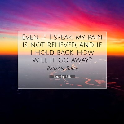 Picture 07 - Job 16:6 BSB - Even if I speak, my pain is not relieved, and if - Bible Verse Picture