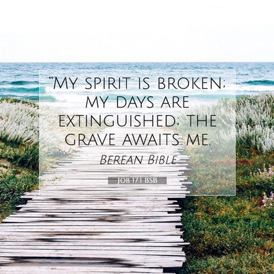 Picture 07 - Job 17:1 BSB - “My spirit is broken; my days are extinguished; - Bible Verse Picture