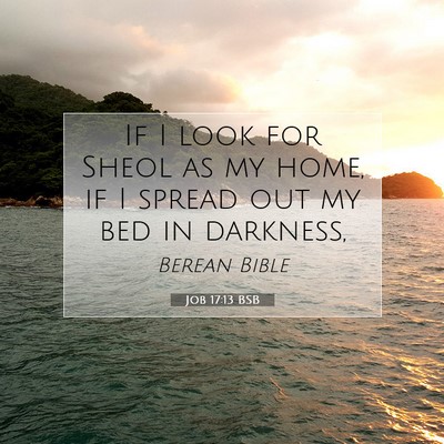 Picture 07 - Job 17:13 BSB - If I look for Sheol as my home, if I spread out - Bible Verse Picture