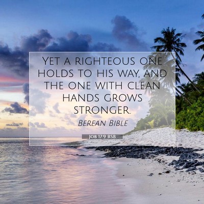 Picture 07 - Job 17:9 BSB - Yet a righteous one holds to his way, and the one - Bible Verse Picture