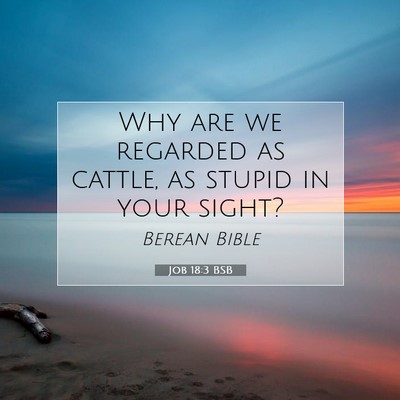 Picture 07 - Job 18:3 BSB - Why are we regarded as cattle, as stupid in your - Bible Verse Picture