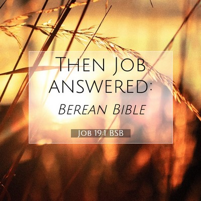 Picture 07 - Job 19:1 BSB - Then Job - Bible Verse Picture
