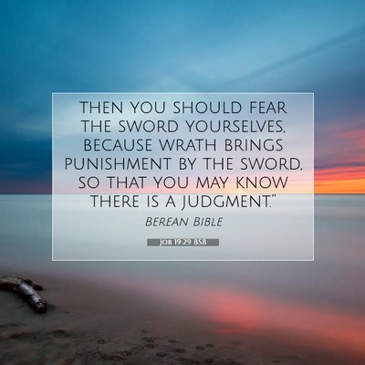 Picture 07 - Job 19:29 BSB - then you should fear the sword yourselves, - Bible Verse Picture