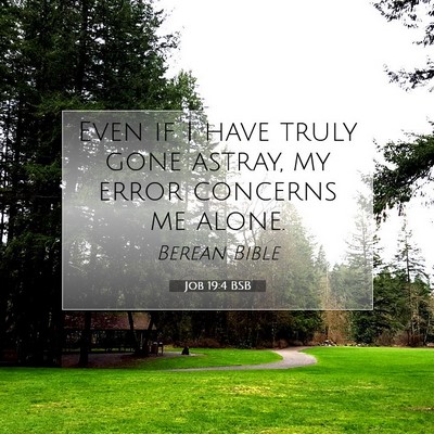 Picture 07 - Job 19:4 BSB - Even if I have truly gone astray, my error - Bible Verse Picture