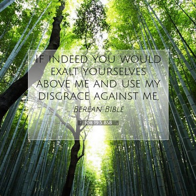 Picture 07 - Job 19:5 BSB - If indeed you would exalt yourselves above me and - Bible Verse Picture