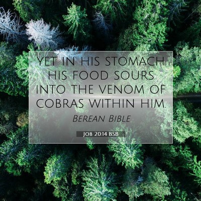 Picture 07 - Job 20:14 BSB - yet in his stomach his food sours into the venom - Bible Verse Picture