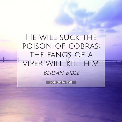 Picture 07 - Job 20:16 BSB - He will suck the poison of cobras; the fangs of a - Bible Verse Picture
