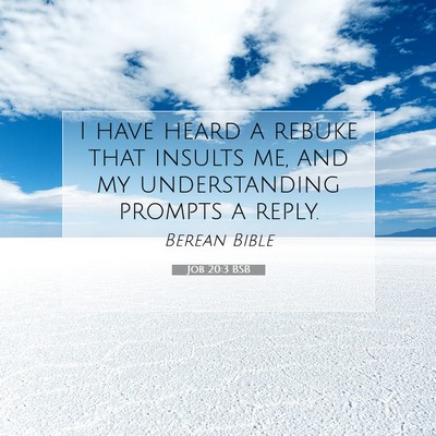 Picture 07 - Job 20:3 BSB - I have heard a rebuke that insults me, and my - Bible Verse Picture