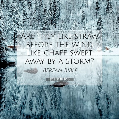 Picture 07 - Job 21:18 BSB - Are they like straw before the wind, like chaff - Bible Verse Picture