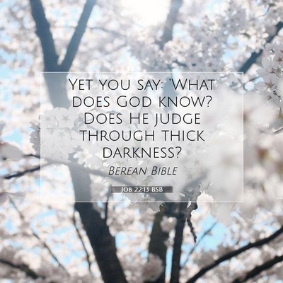 Picture 07 - Job 22:13 BSB - Yet you say: ‘What does God know? Does He judge - Bible Verse Picture