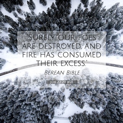 Picture 07 - Job 22:20 BSB - ‘Surely our foes are destroyed, and fire has - Bible Verse Picture