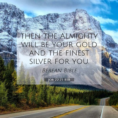 Picture 07 - Job 22:25 BSB - then the Almighty will be your gold and the - Bible Verse Picture