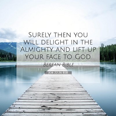 Picture 07 - Job 22:26 BSB - Surely then you will delight in the Almighty and - Bible Verse Picture