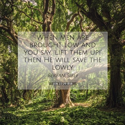 Picture 07 - Job 22:29 BSB - When men are brought low and you say, ‘Lift - Bible Verse Picture