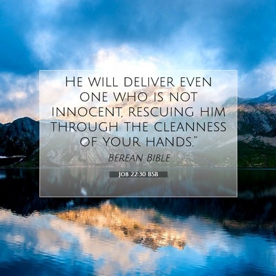 Picture 07 - Job 22:30 BSB - He will deliver even one who is not innocent, - Bible Verse Picture