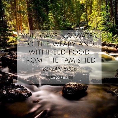 Picture 07 - Job 22:7 BSB - You gave no water to the weary and withheld food - Bible Verse Picture
