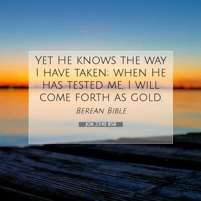 Picture 07 - Job 23:10 BSB - Yet He knows the way I have taken; when He has - Bible Verse Picture