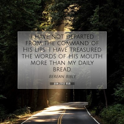 Picture 07 - Job 23:12 BSB - I have not departed from the command of His lips; - Bible Verse Picture