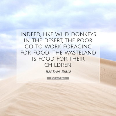 Picture 07 - Job 24:5 BSB - Indeed, like wild donkeys in the desert, the poor - Bible Verse Picture