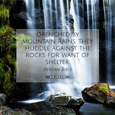 Picture 07 - Job 24:8 BSB - Drenched by mountain rains, they huddle against - Bible Verse Picture
