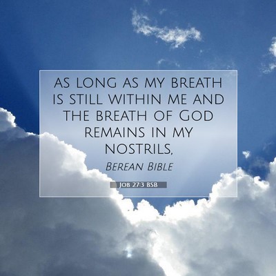 Picture 07 - Job 27:3 BSB - as long as my breath is still within me and the - Bible Verse Picture