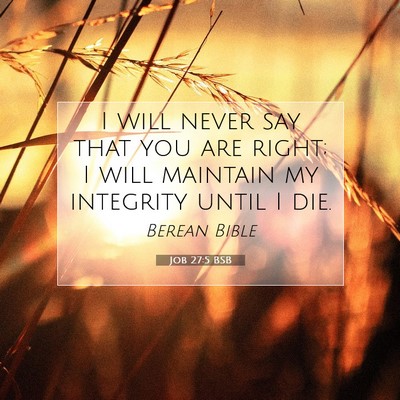 Picture 07 - Job 27:5 BSB - I will never say that you are right; I will - Bible Verse Picture
