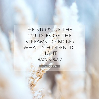 Picture 07 - Job 28:11 BSB - He stops up the sources of the streams to bring - Bible Verse Picture