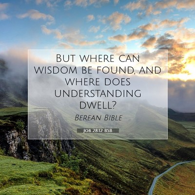 Picture 07 - Job 28:12 BSB - But where can wisdom be found, and where does - Bible Verse Picture
