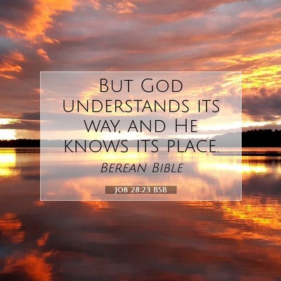 Picture 07 - Job 28:23 BSB - But God understands its way, and He knows its - Bible Verse Picture