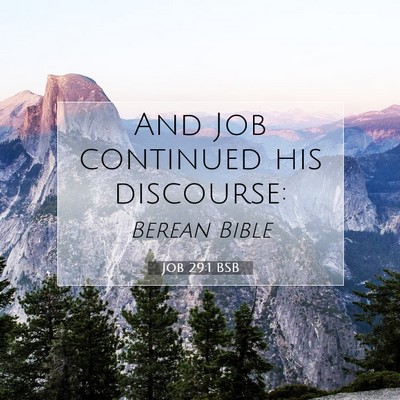 Picture 07 - Job 29:1 BSB - And Job continued his - Bible Verse Picture
