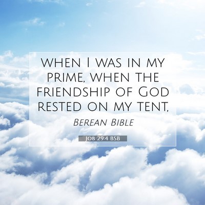 Picture 07 - Job 29:4 BSB - when I was in my prime, when the friendship of - Bible Verse Picture