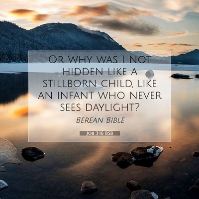 Picture 07 - Job 3:16 BSB - Or why was I not hidden like a stillborn child, - Bible Verse Picture