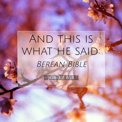 Picture 07 - Job 3:2 BSB - And this is what he - Bible Verse Picture