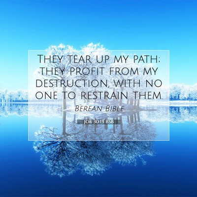 Picture 07 - Job 30:13 BSB - They tear up my path; they profit from my - Bible Verse Picture