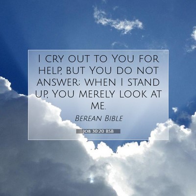 Picture 07 - Job 30:20 BSB - I cry out to You for help, but You do not answer; - Bible Verse Picture