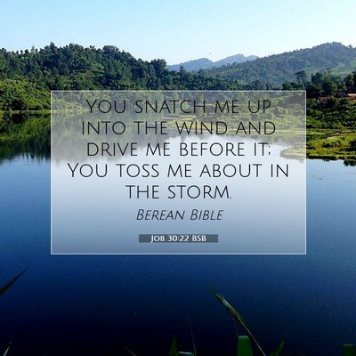Picture 07 - Job 30:22 BSB - You snatch me up into the wind and drive me - Bible Verse Picture