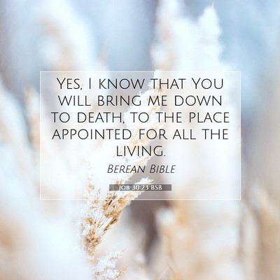 Picture 07 - Job 30:23 BSB - Yes, I know that You will bring me down to death, - Bible Verse Picture
