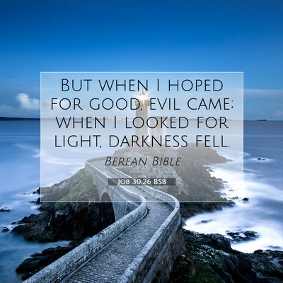 Picture 07 - Job 30:26 BSB - But when I hoped for good, evil came; when I - Bible Verse Picture