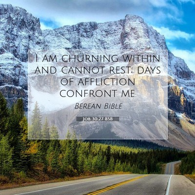Picture 07 - Job 30:27 BSB - I am churning within and cannot rest; days of - Bible Verse Picture