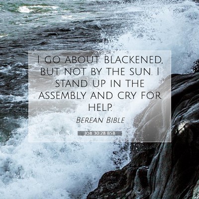Picture 07 - Job 30:28 BSB - I go about blackened, but not by the sun. I stand - Bible Verse Picture