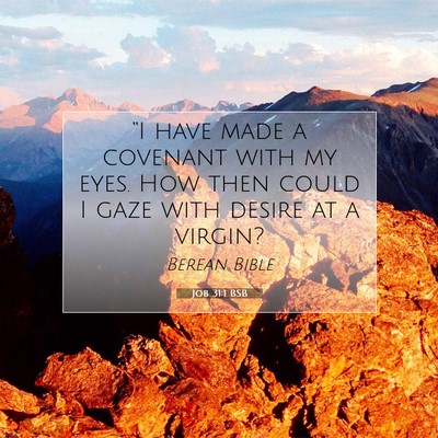Picture 07 - Job 31:1 BSB - “I have made a covenant with my eyes. How then - Bible Verse Picture