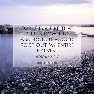 Picture 07 - Job 31:12 BSB - For it is a fire that burns down to Abaddon; it - Bible Verse Picture