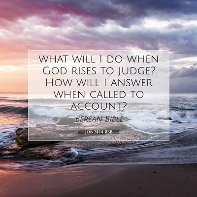 Picture 07 - Job 31:14 BSB - what will I do when God rises to judge? How will - Bible Verse Picture