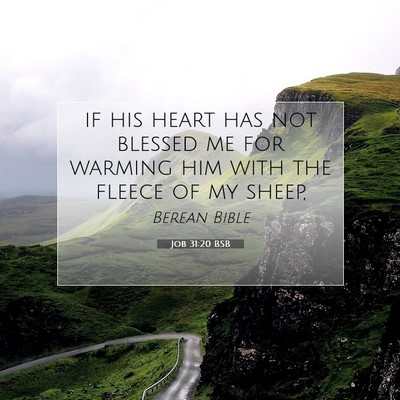 Picture 07 - Job 31:20 BSB - if his heart has not blessed me for warming him - Bible Verse Picture