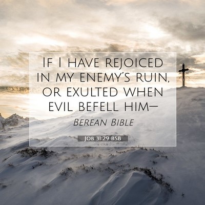 Picture 07 - Job 31:29 BSB - If I have rejoiced in my enemy’s ruin, or - Bible Verse Picture
