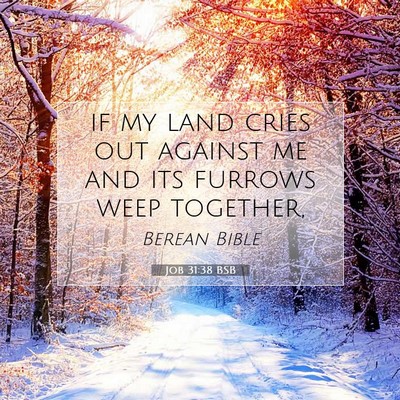 Picture 07 - Job 31:38 BSB - if my land cries out against me and its furrows - Bible Verse Picture